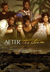 After-the-Storm-2008-cover