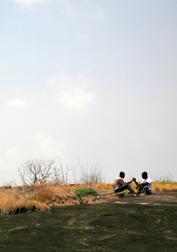 FambulTok_2011_cover