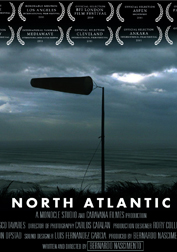 NorthAtlantic_2011_poster1