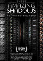 TheseAmazingShadows_2011_cover