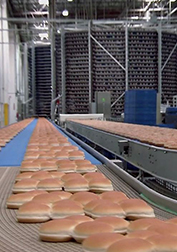 The Trouble With Bread