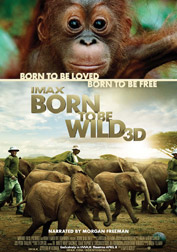 born-to-be-wild-2011-cover