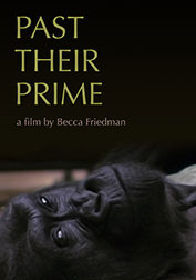 past-their-prime-2012-poster