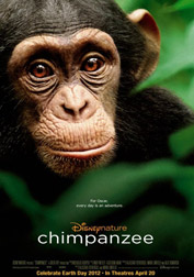 chimpanzee-2012-cover